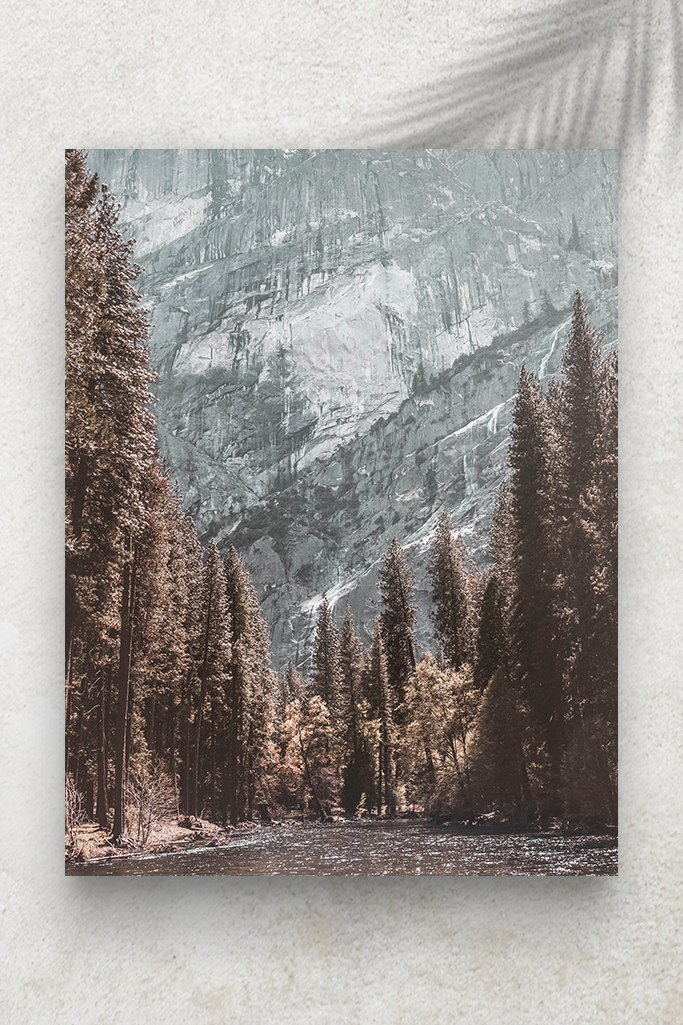Nature_Montagnes_Foret_00.jpg