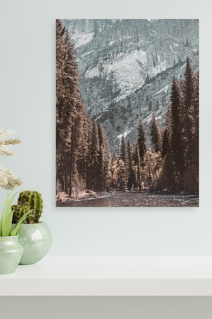 Nature_Montagnes_Foret_02.jpg
