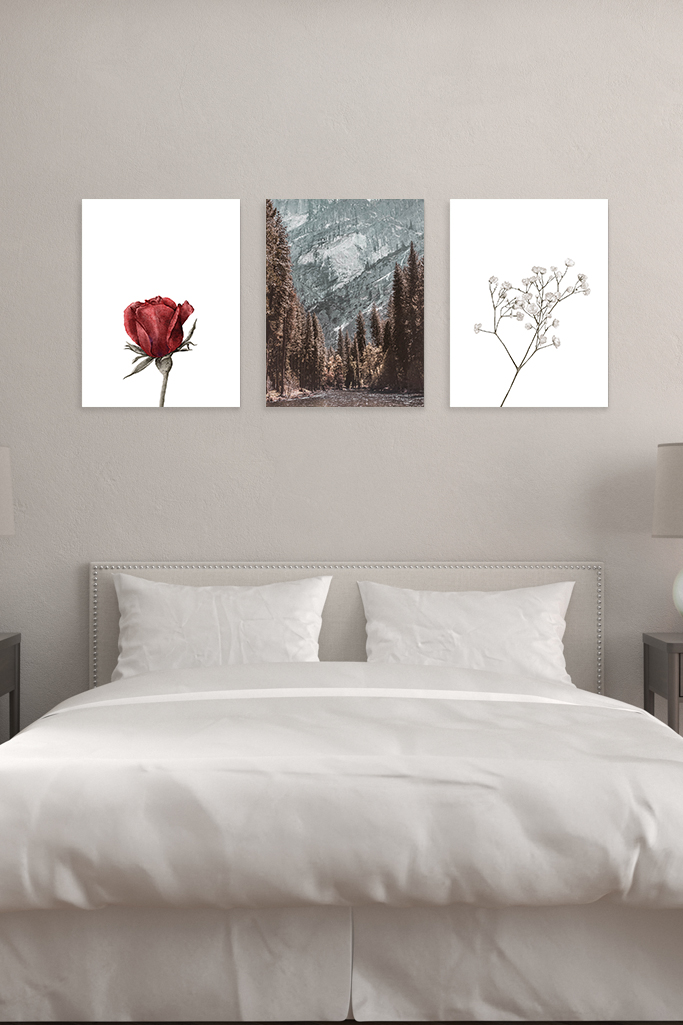Nature_Montagnes_Foret_03.jpg