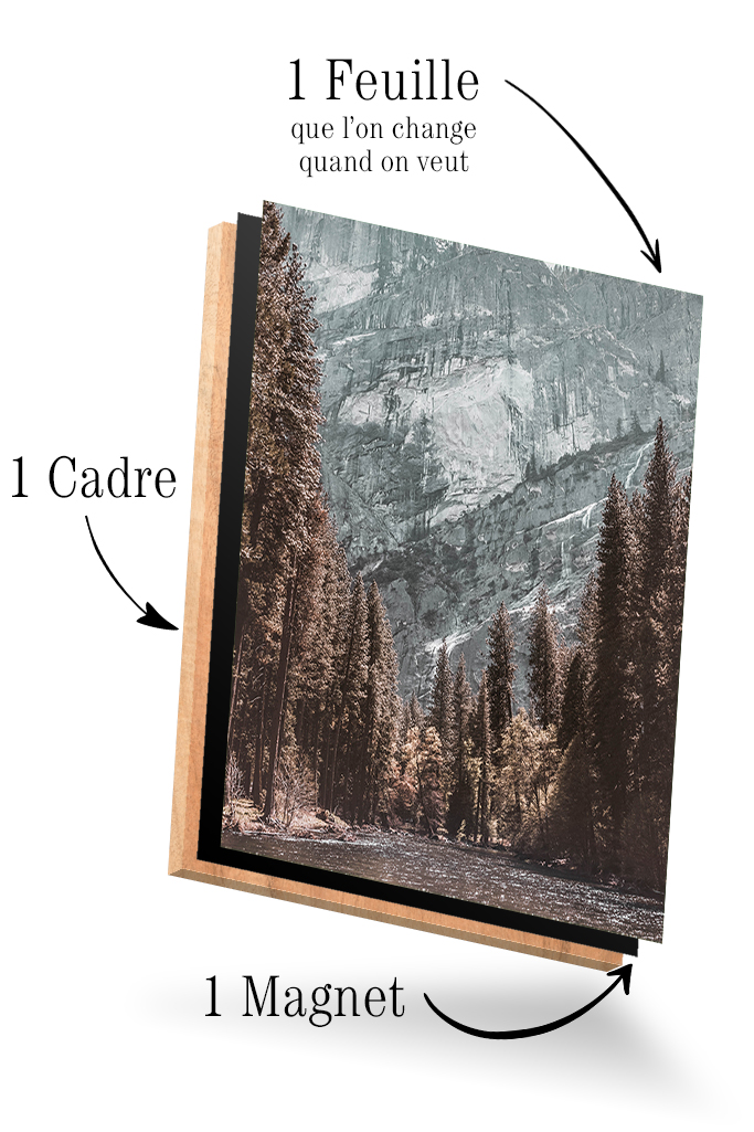 Nature_Montagnes_Foret_04.jpg